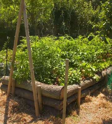 butte permacole forestiere