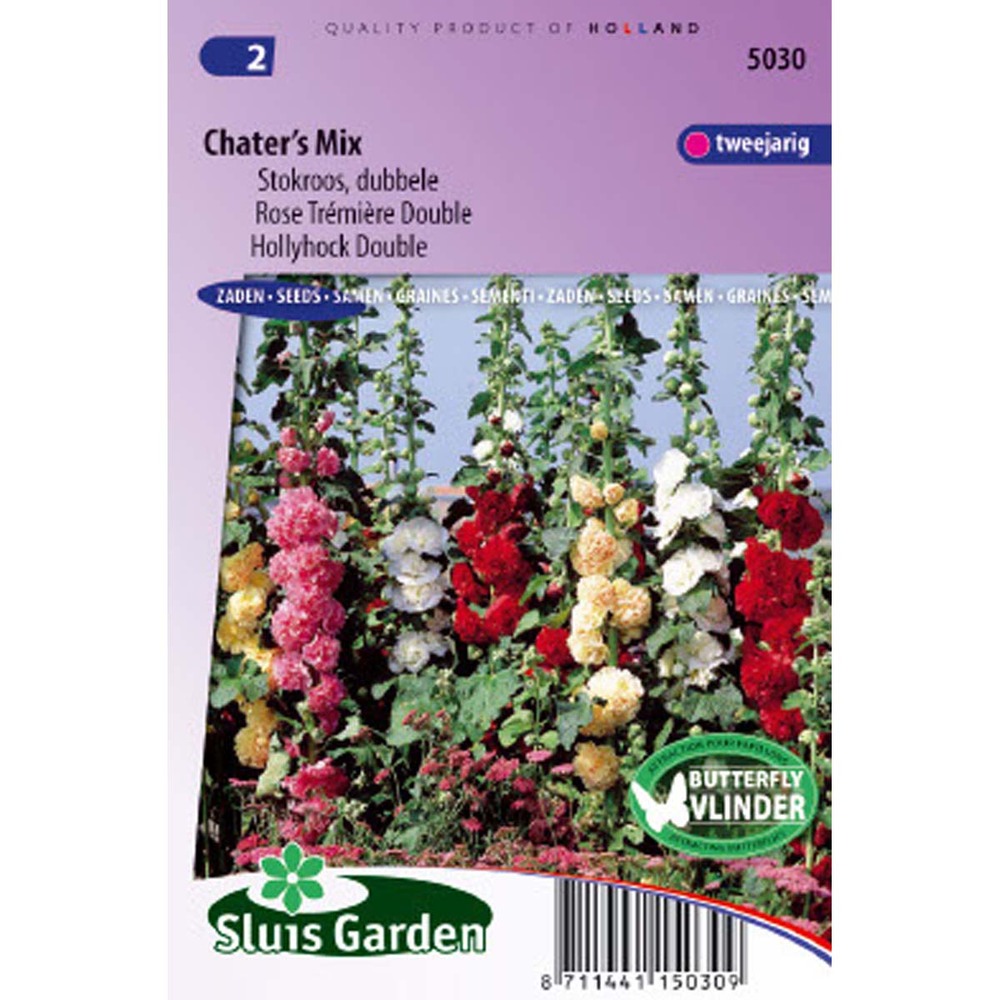 Rose trémière 'chaters's double' en mélange le sachet de 100 graines environ (1g)