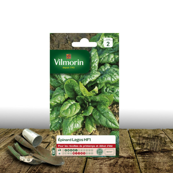 Graines d'épinard lagos hf1 - vilmorin sachet