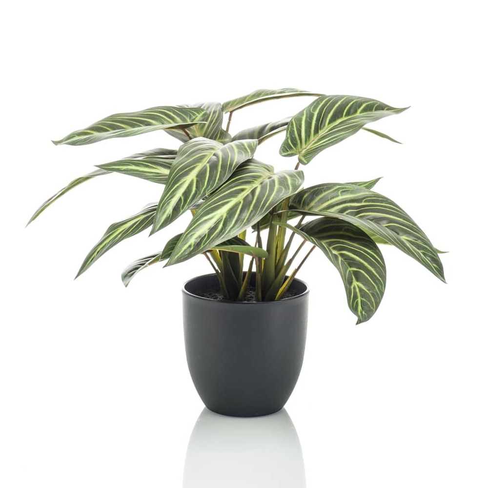 Calathea artificiel zebrina 38 cm en pot