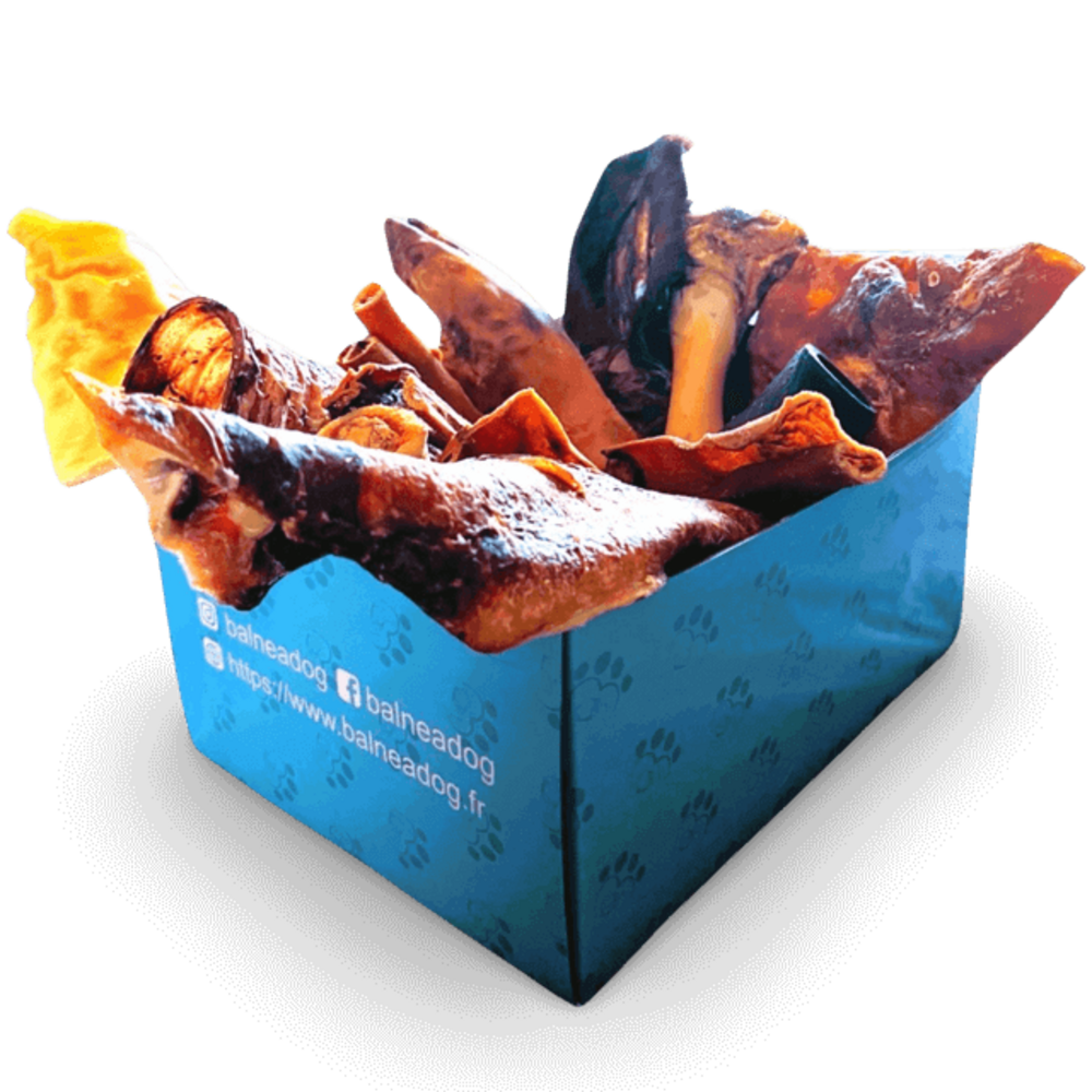 Box de friandises naturelles | l'indestructible