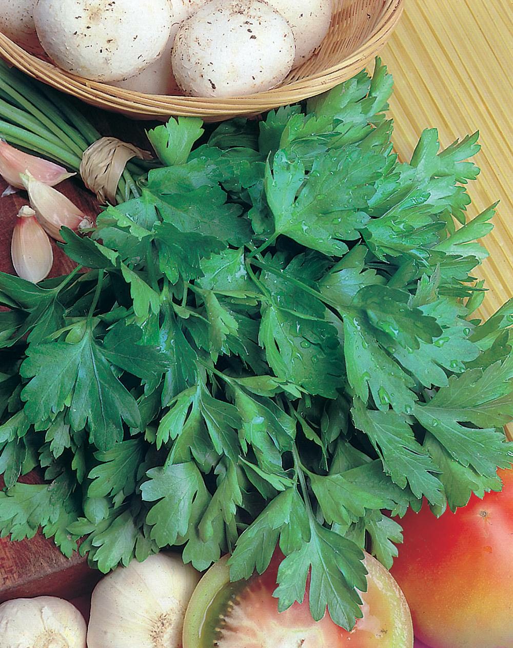 Persil gigante d italia - 10 g