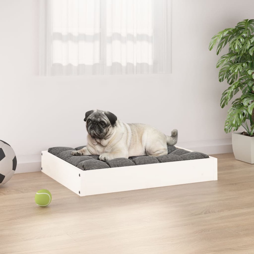 Lit pour chien blanc 61,5x49x9 cm bois de pin solide