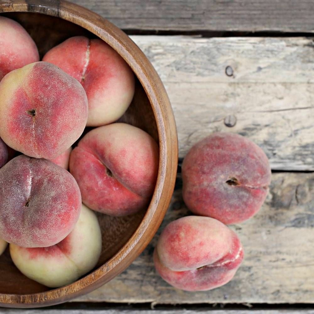 Pêcher jalousia® 'ferjalou' pot de 15l - 1/2 tige