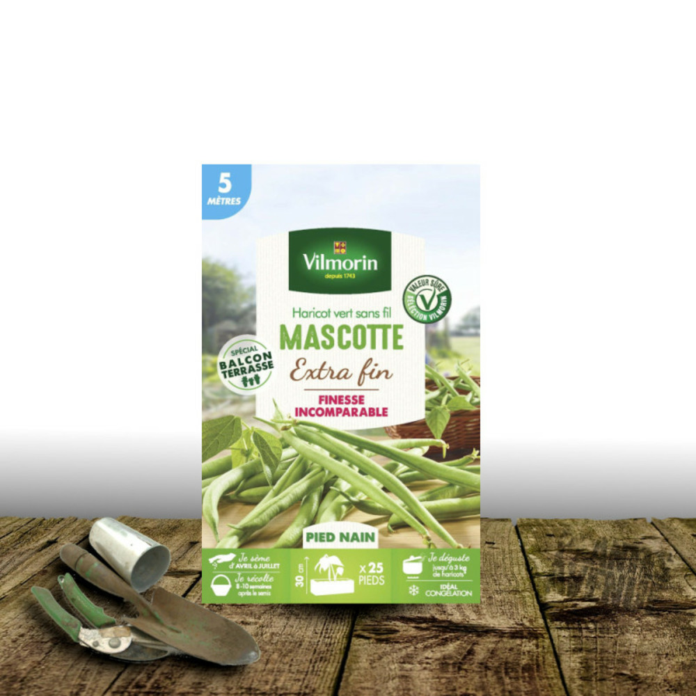 Graines de haricot nain mangetout mascotte - vilmorin boite - 10 mètres