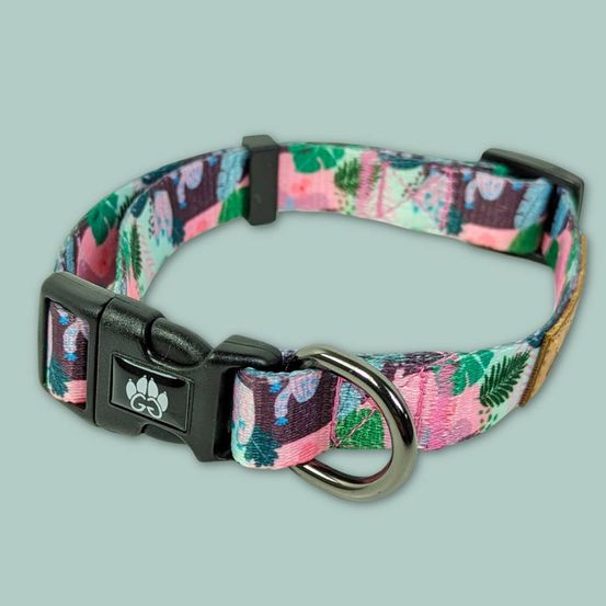 Collier pour chien cactus - m