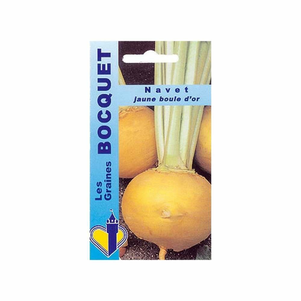 Graines de navet jaune boule d'or