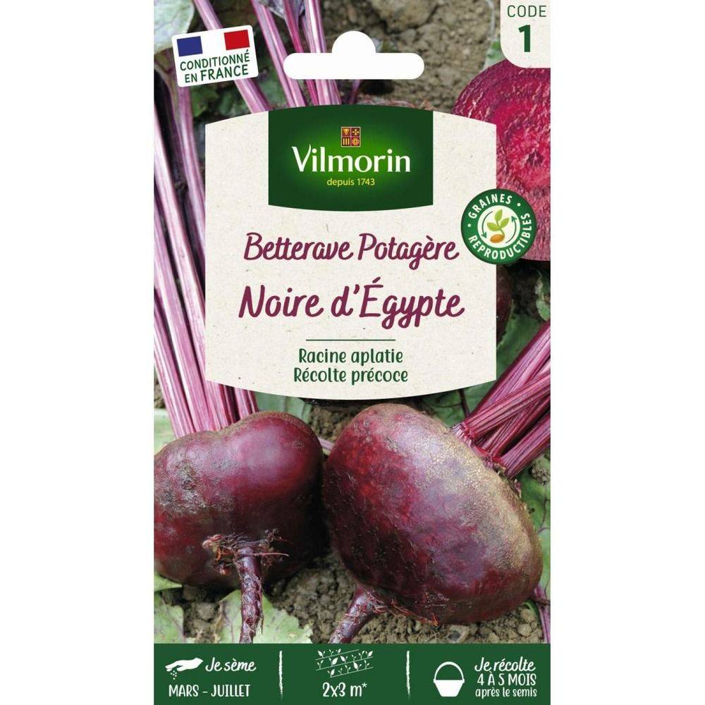 Sachet graines betterave d'egypte