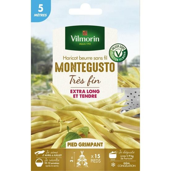 Graines de haricot beurre sans fil montegusto très fin - 5 mètres