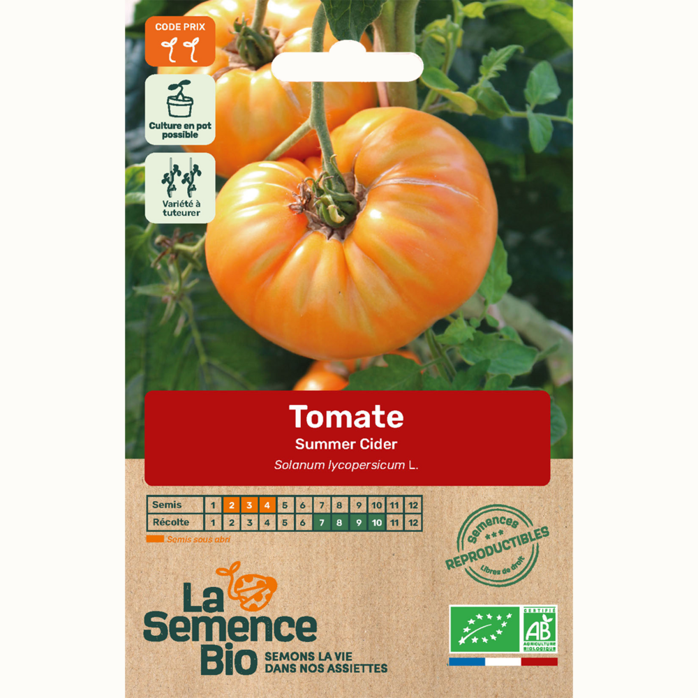 Tomate summer cider - graines bio