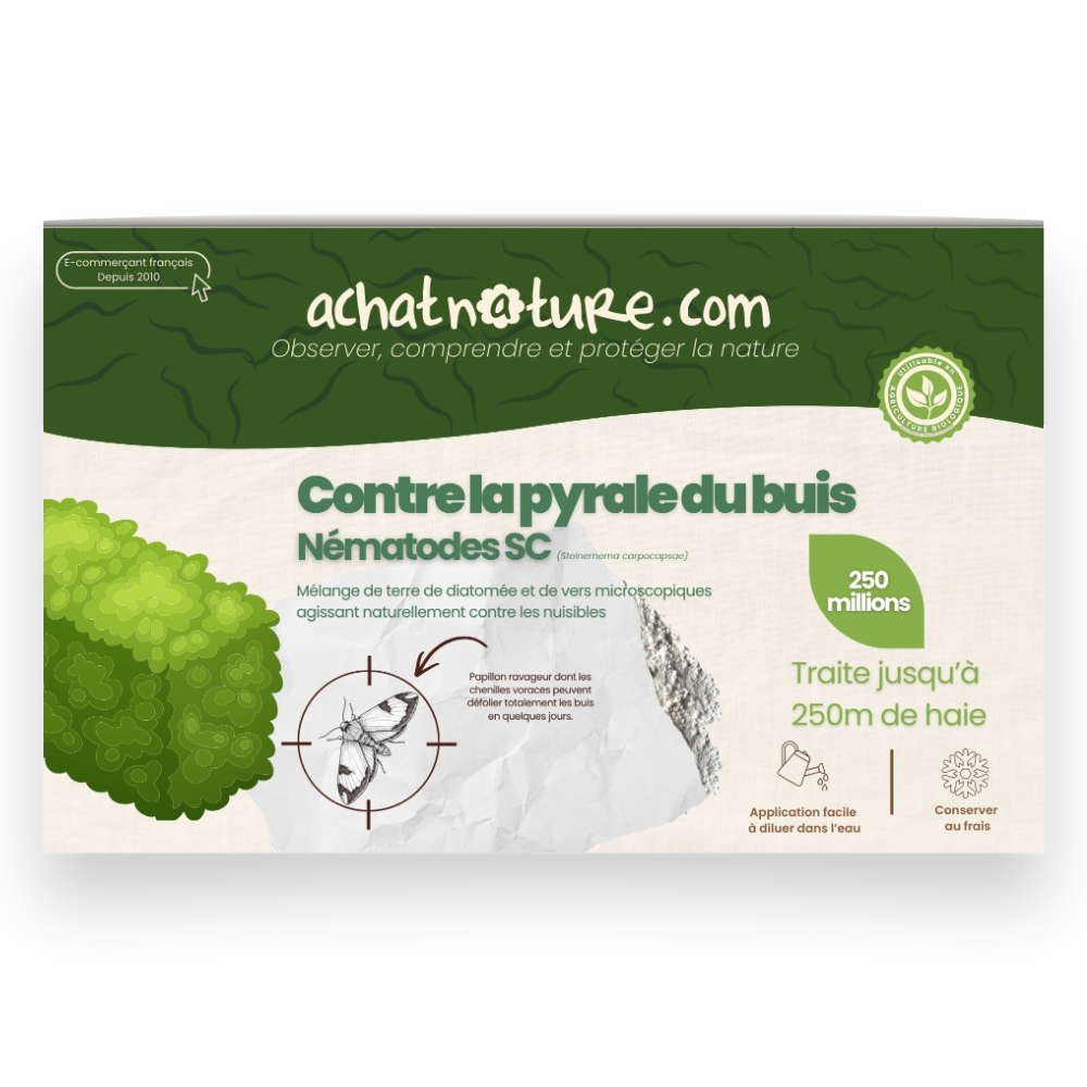 Nématodes sc contre pyrale du buis - 250 millions - 250 mètres de haie