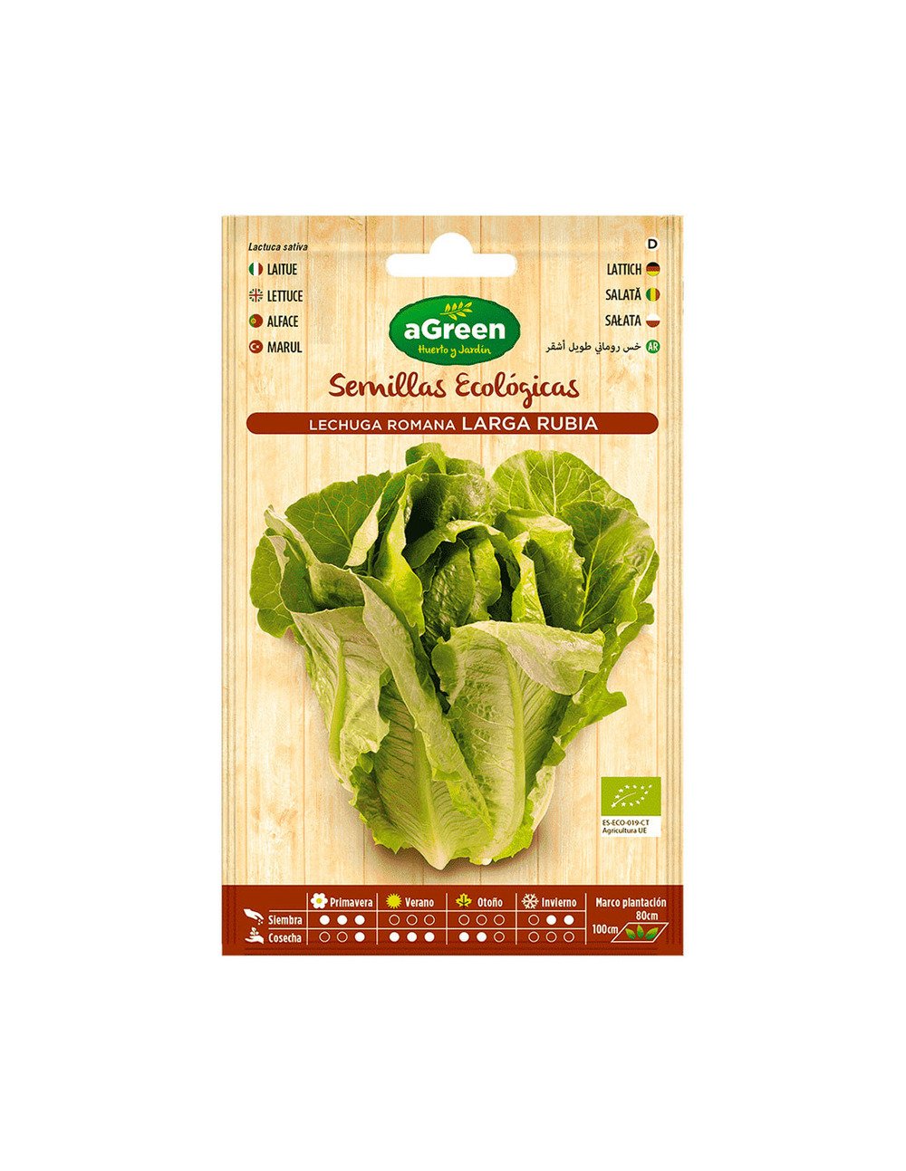 10 sachet eco laitue maravilla agreen.