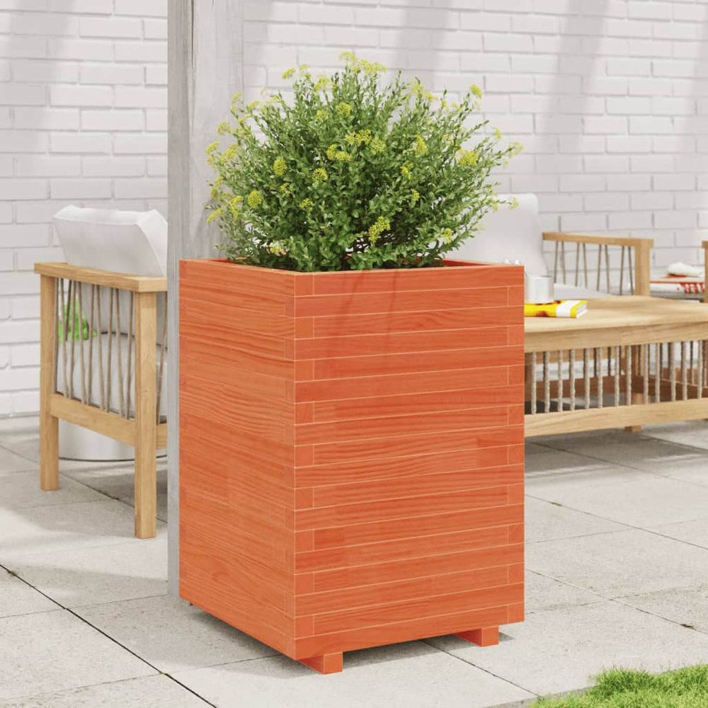 Carré potager surélevé pin massif terrasse jardin brun 50x50x72,5 cm