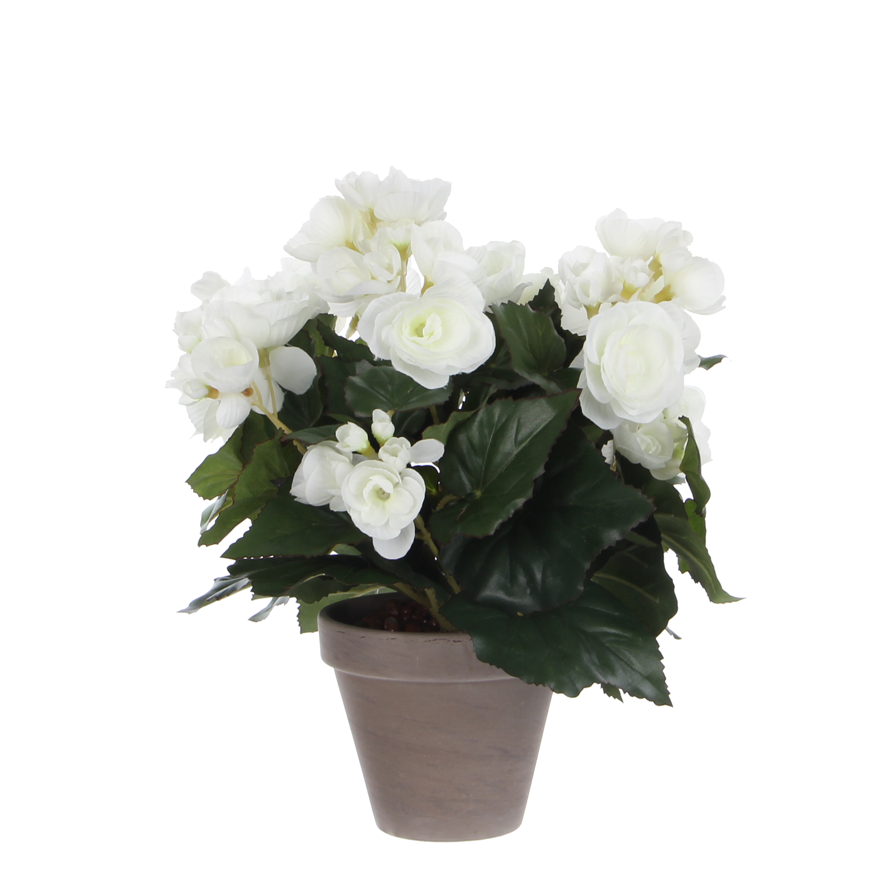 Mica decorations - bégonia artificielle blanc en pot h30