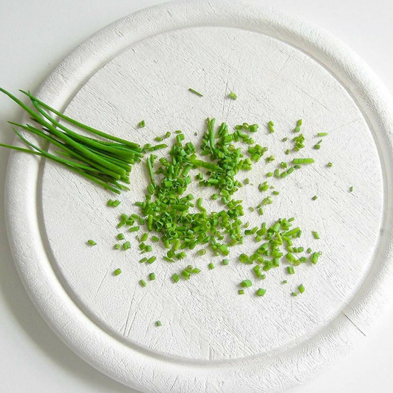 Ciboulette godet - 5/20 cm