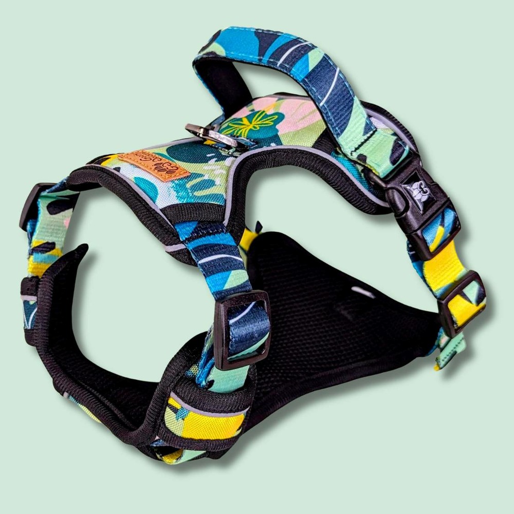 Harnais pour chien confort récif - xl