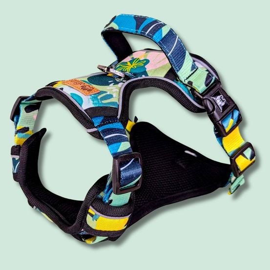 Harnais pour chien confort récif - xl
