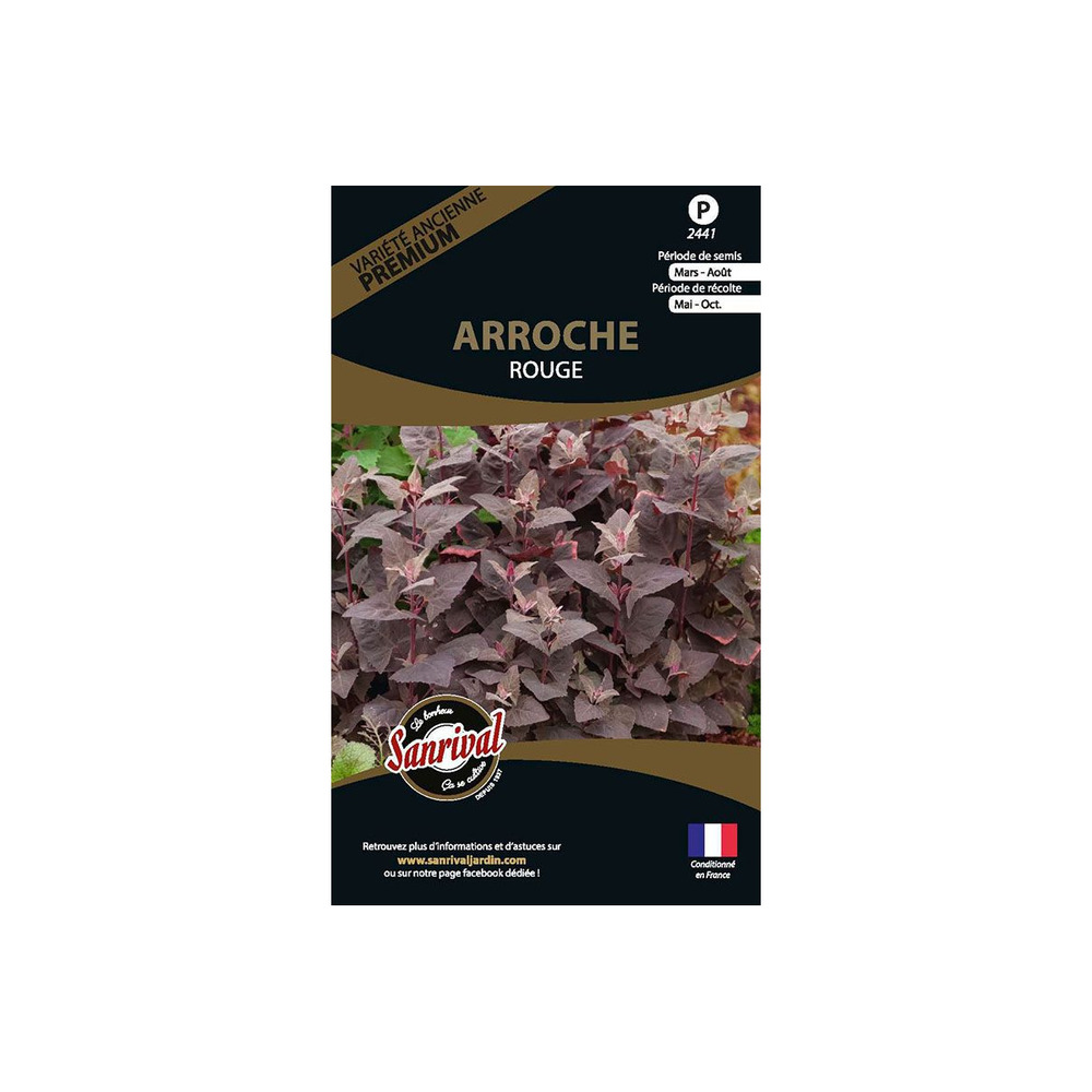 Graines potagères premium arroche