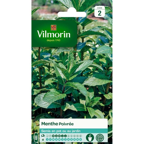 Sachet graines menthe poivrée