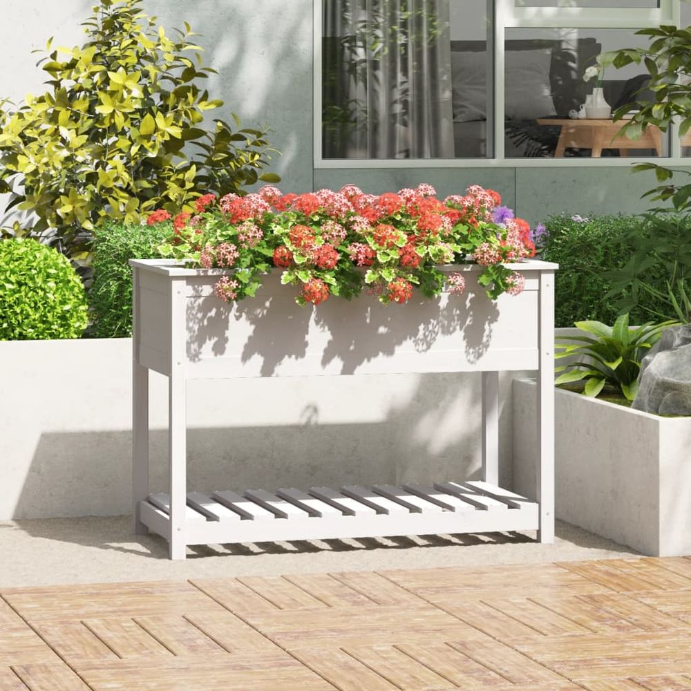 Très grand carré potager bois avec étagère pour jardin blanc 111,5cm
