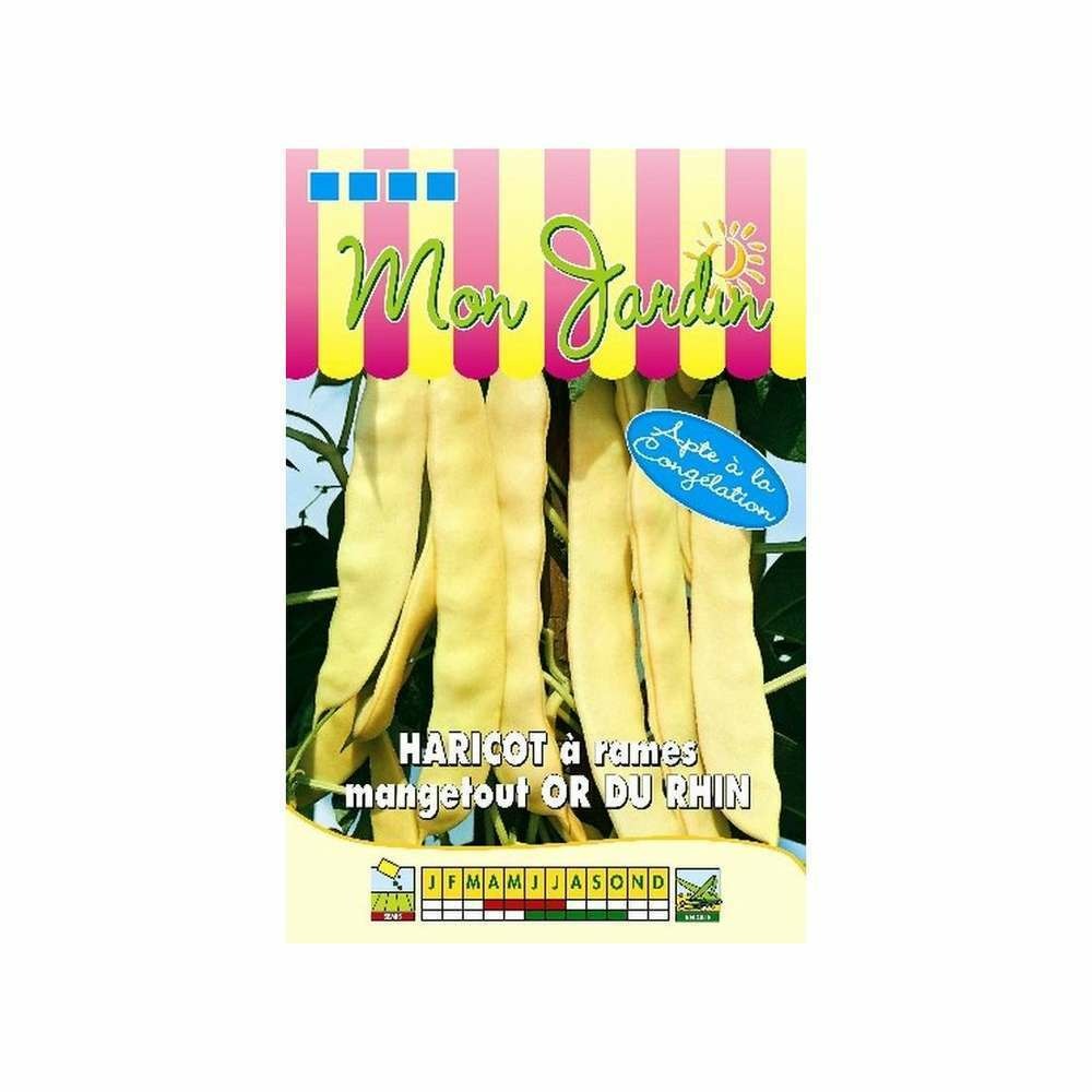 Graines d'haricot à rames beurre or du rhin - 100g
