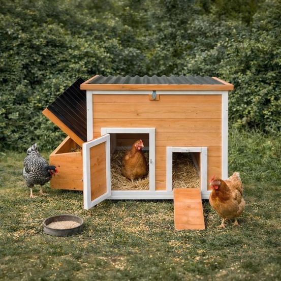 Poulailler hefa+ en pin traité avec toit plastique - 6 poules