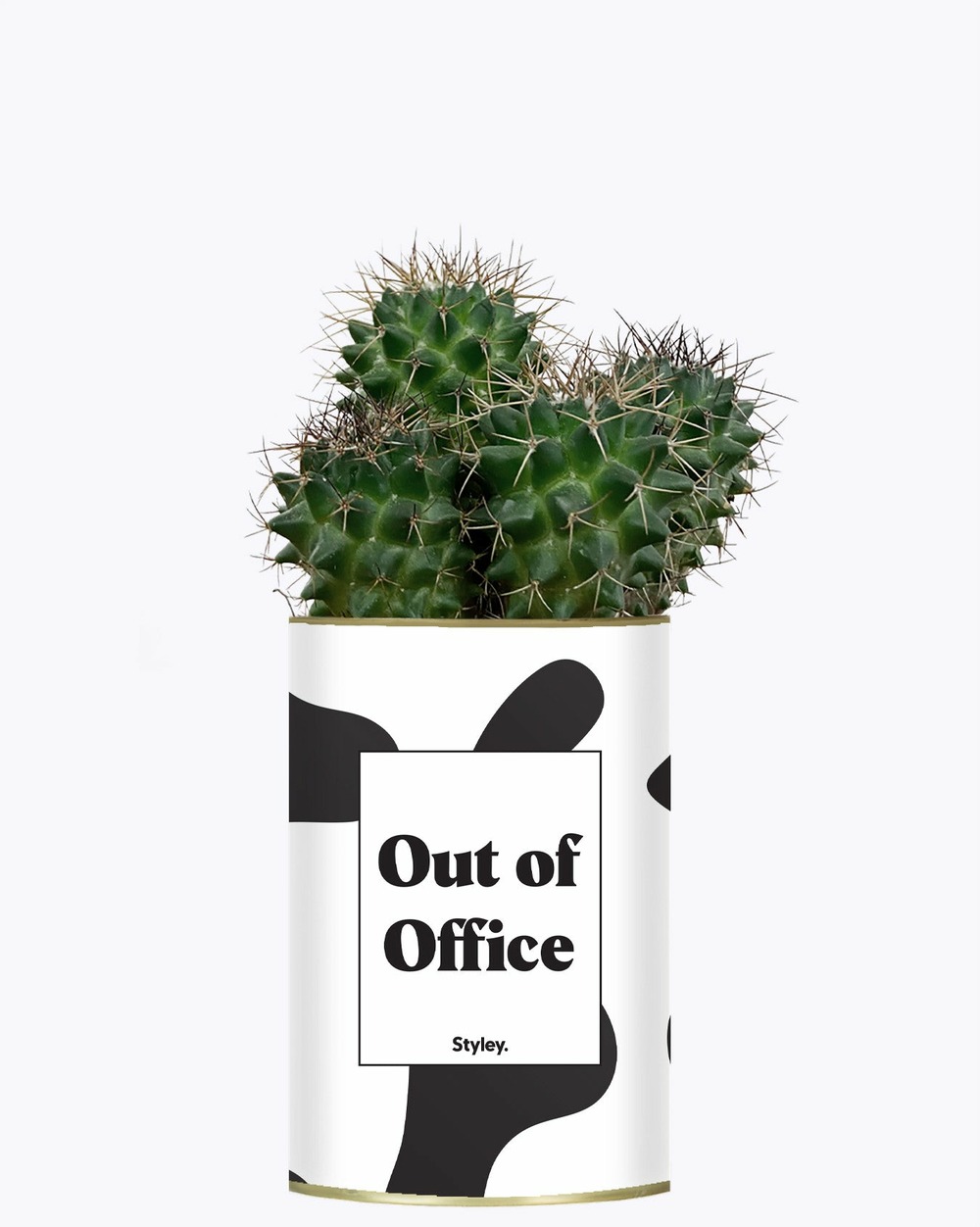 Plante personnalisée - out of office - cactus