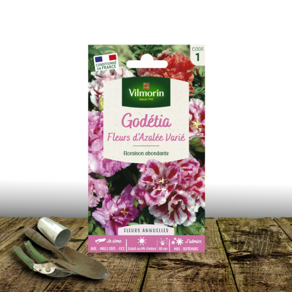 Graines de clarkia fleurs d'azalée varié - vilmorin sachet