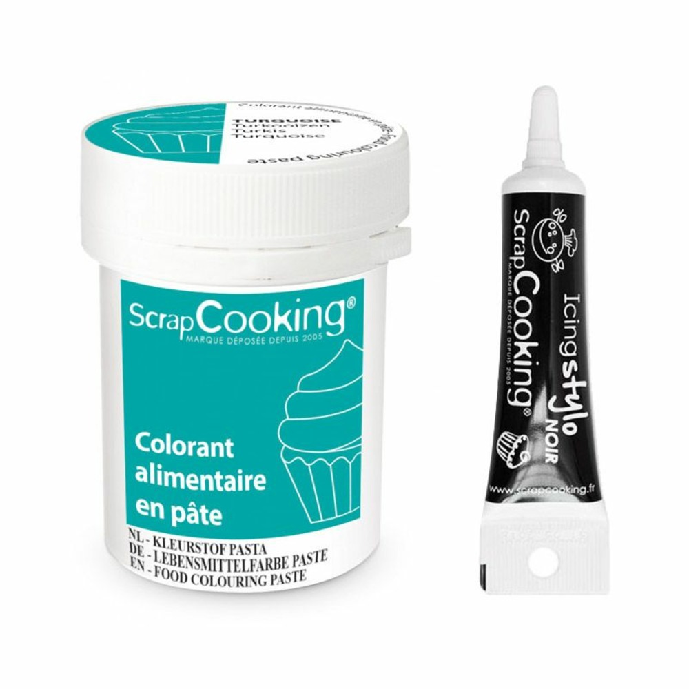 Colorant alimentaire en pâte 20 g turquoise + stylo de glaçage noir