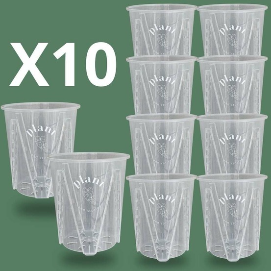 Lot pot aracées transparent - pot de culture transparent pour plantes - pot de 14cm - x10 unités - pots seuls