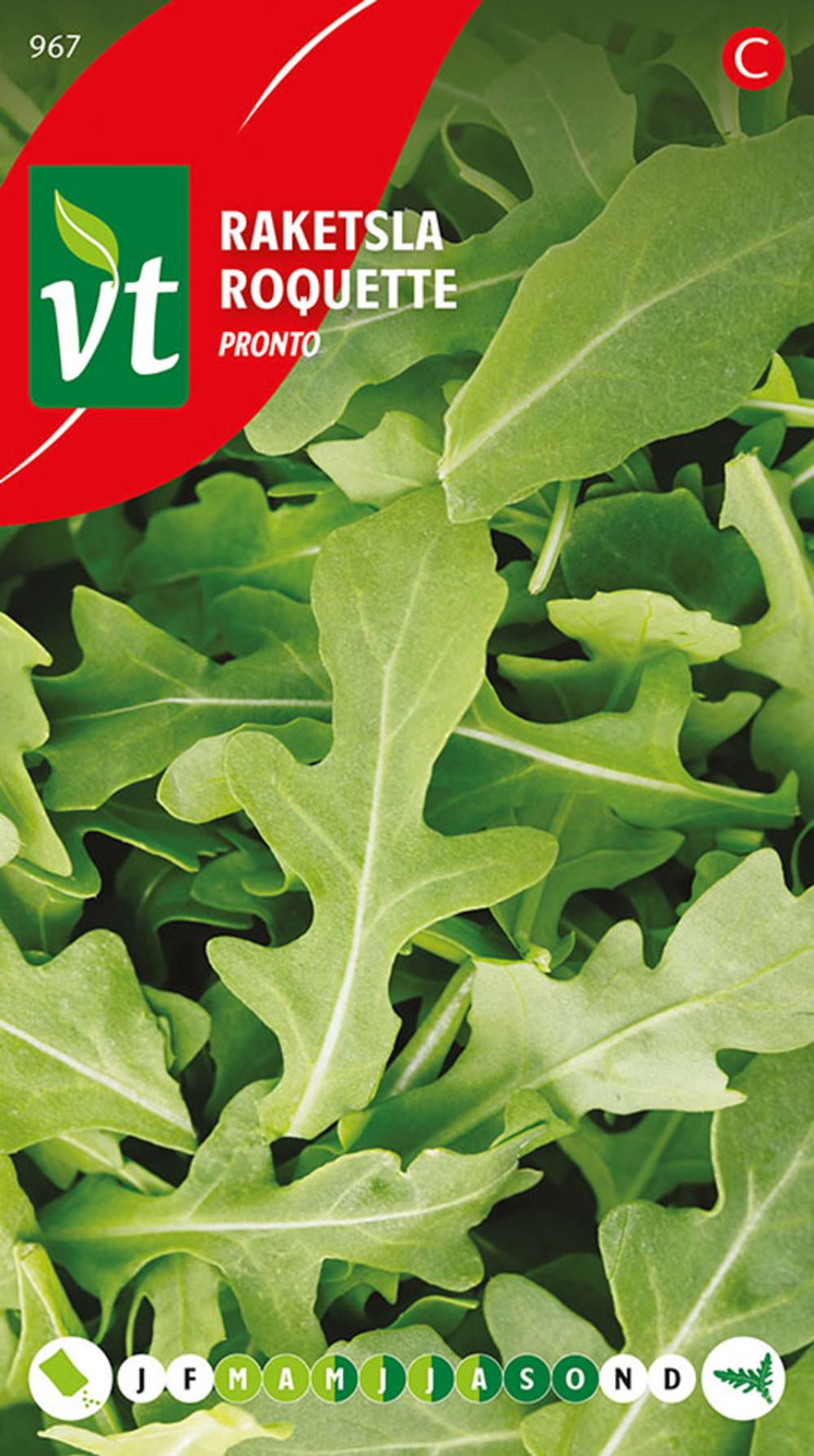 Roquette pronto - ca. 2 gr (livraison gratuite)