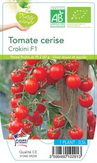 Tomate cerise crokini f1 -plant ab en  pot 0.5 l-plante du jardin