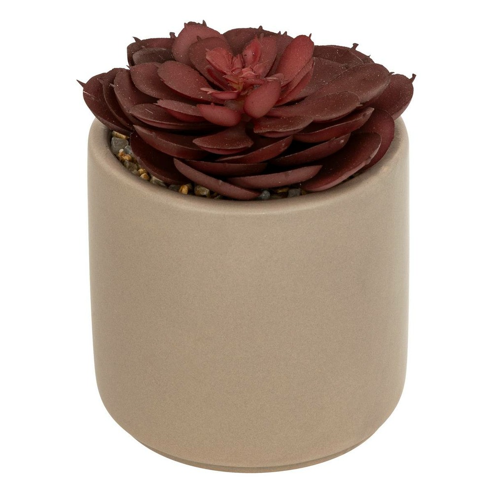 Plante grasse artificielle nils pot céramique h12cm