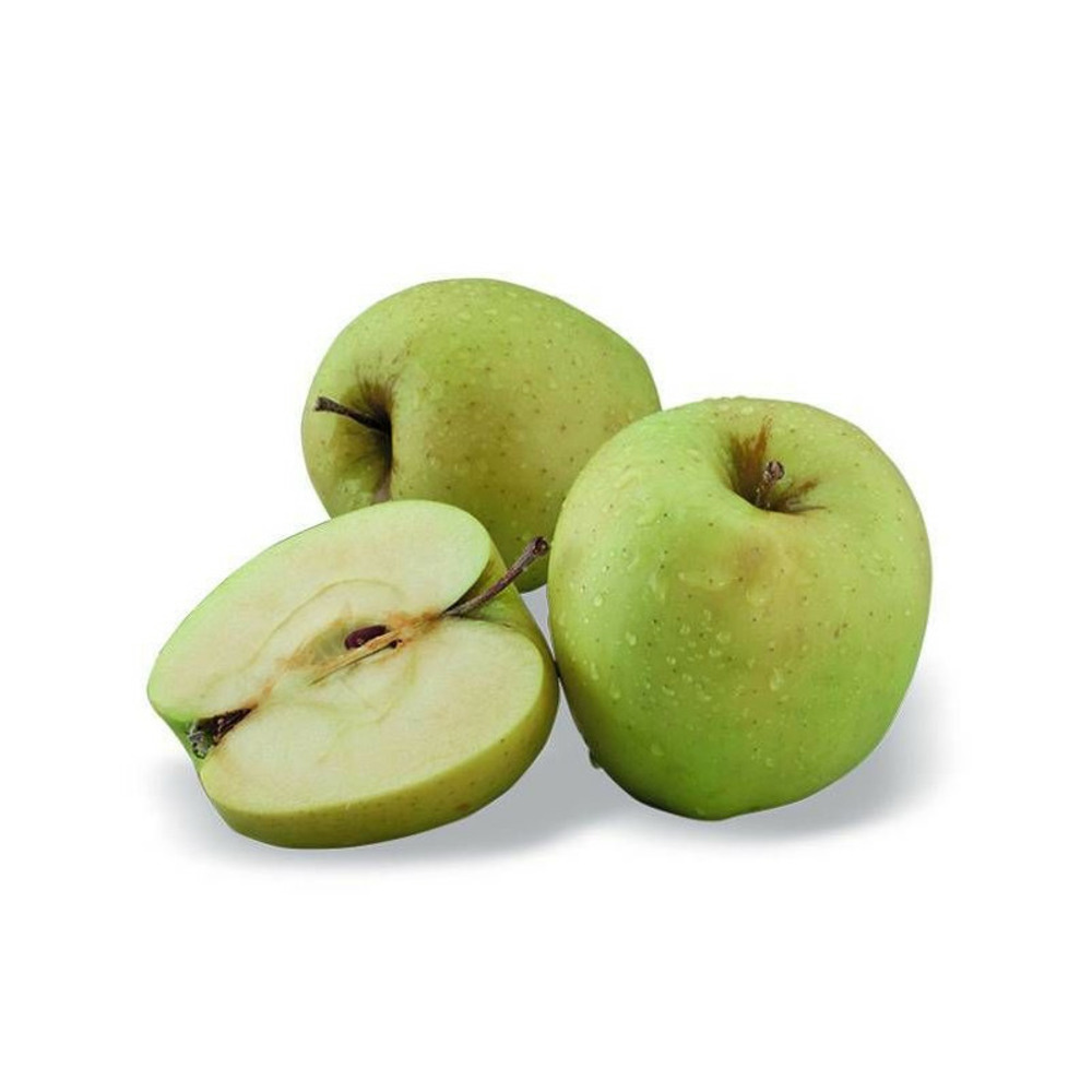 Pommier nain pom' pousse - nains de jardins® pot de 5l - 40/80 cm