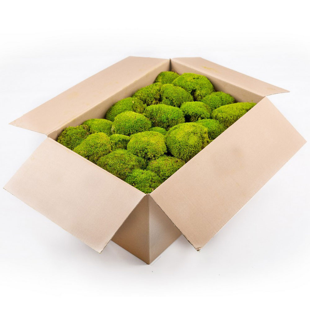 Mbl/2020 mousse boule stabilisée vert olive carton vrac 2.7 kg