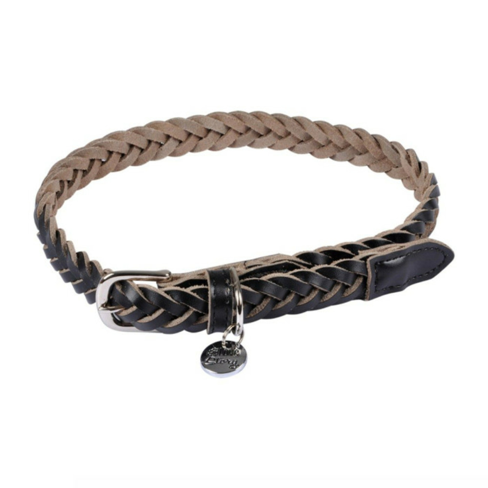 Collier pour chien réglable 