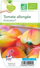 Tomate anacoeur® -plant ab en  pot 0.5 l-plante du jardin