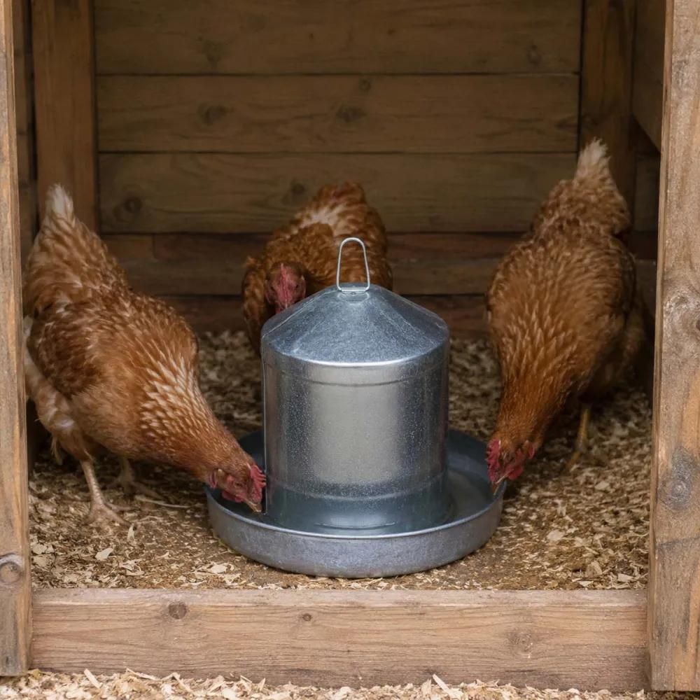 Abreuvoir poules à double paroi en tôle galvanisée 8 l