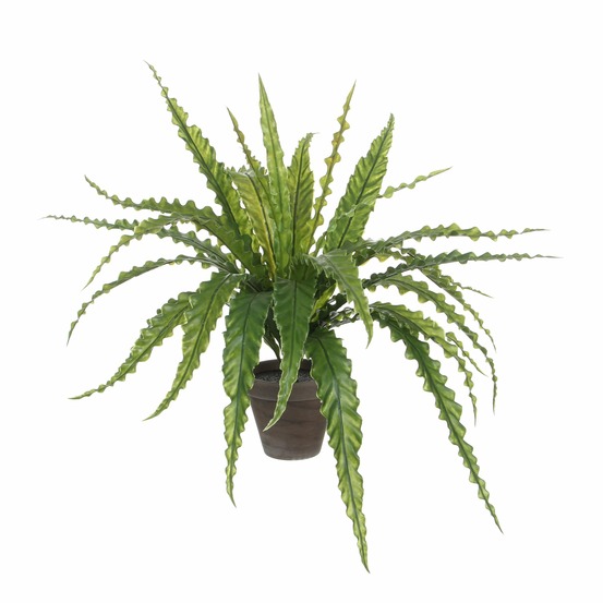 Mica decorations plante artificielle asplenium - h54 x ø66 cm