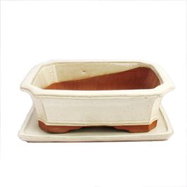 Bol à Bonsaï Carré Beige Clair Avec Soucoupe - 14,5 X 11,5 X 6,5 Cm - Modèle G81