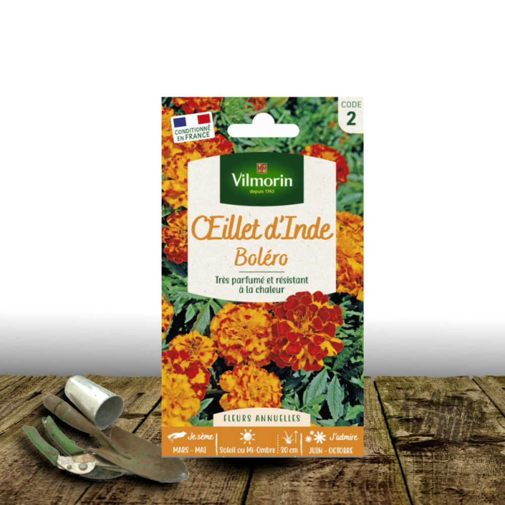 Graines d'oeillet d'inde bolero - vilmorin sachet