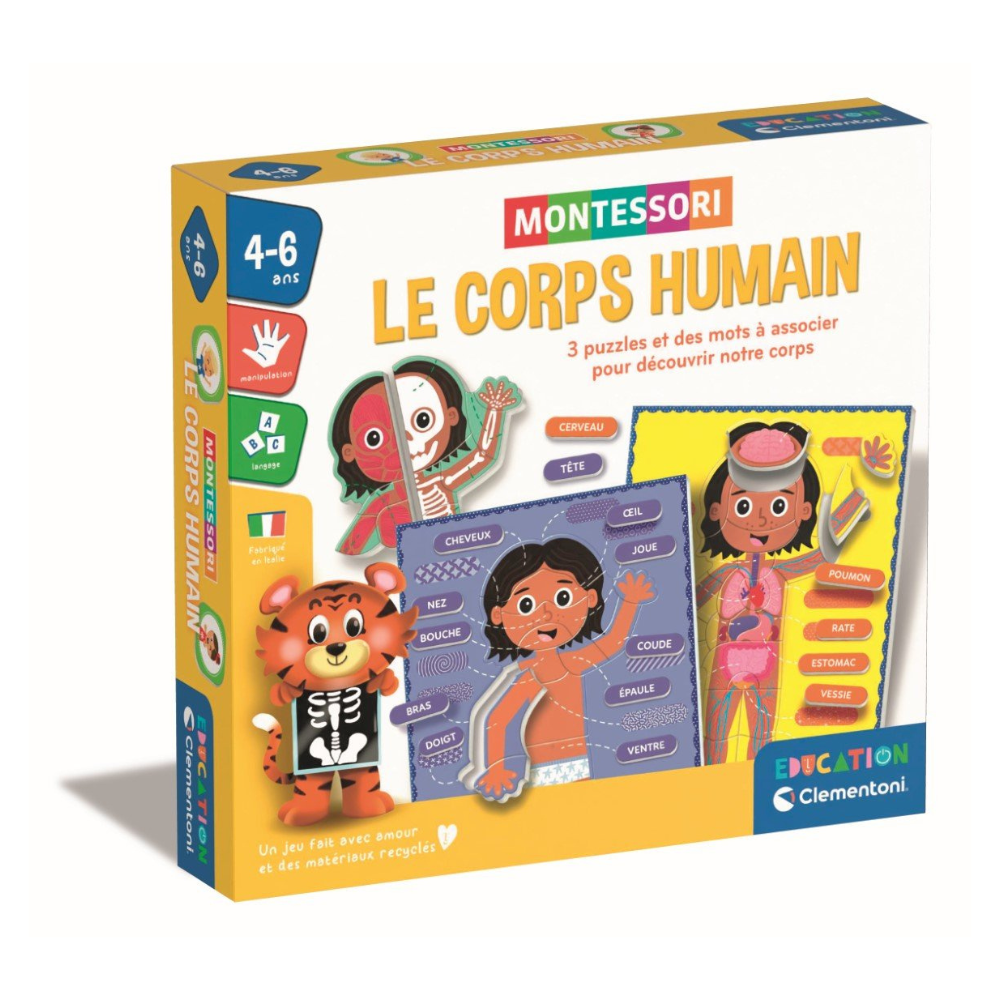 Le corps humain - montessori