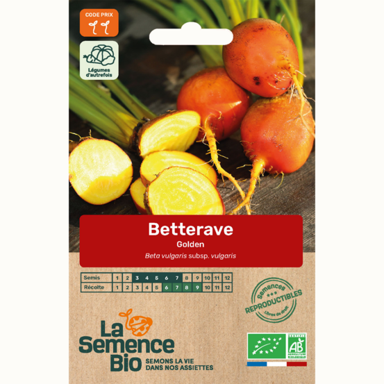 Betterave golden - graines bio