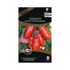 Graines potagères premium tomate giulieta