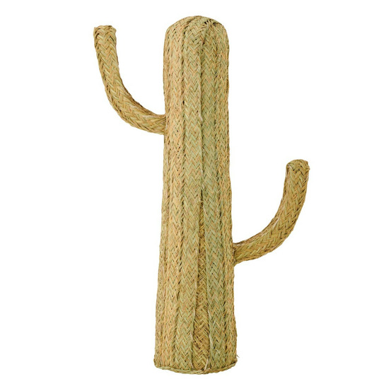 Cactus déco herbe