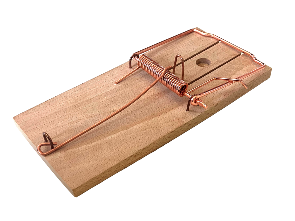 Tapette a rat en bois fsc - utilisation facile - permet d'identifier le type de rongeur - réutilisable cartafsc