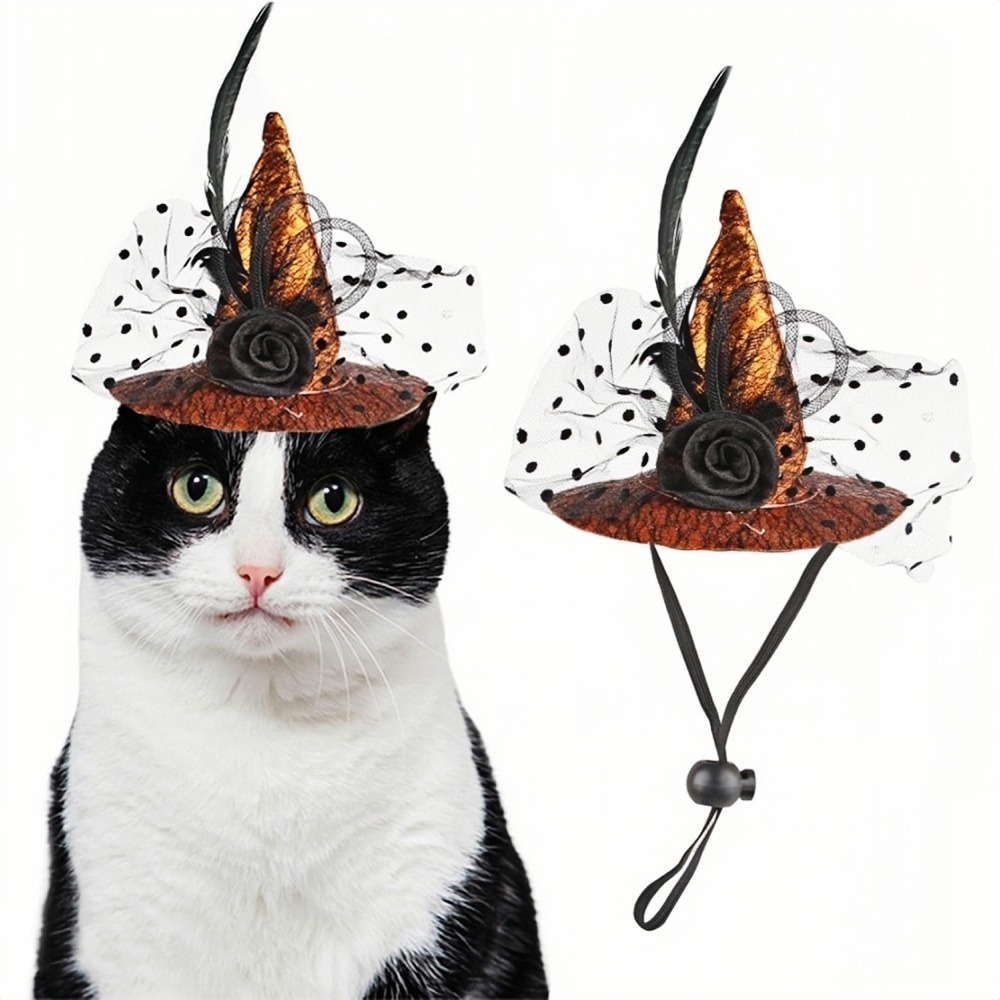 Chapeau de sorcière - avec menton extensible, pour halloween, carnaval, photo, cosplay