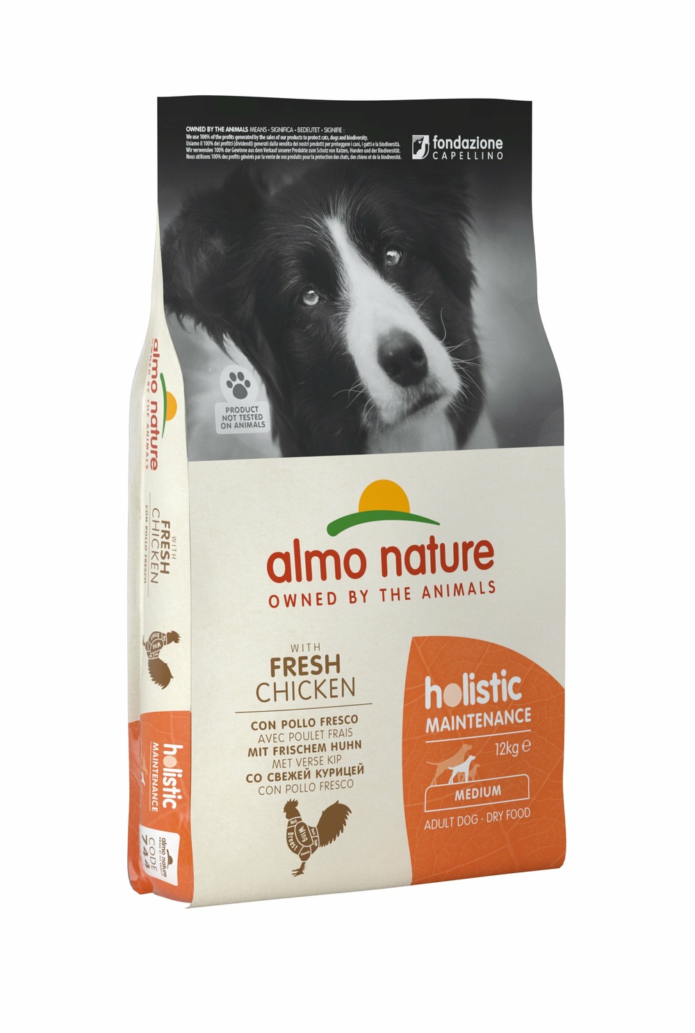 Almo nature - croquettes holistic maintenance au poulet pour chien de taille moyenne 12kg