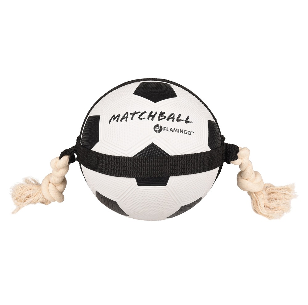 Ballon de football matchball pour chien 20 cm avec corde