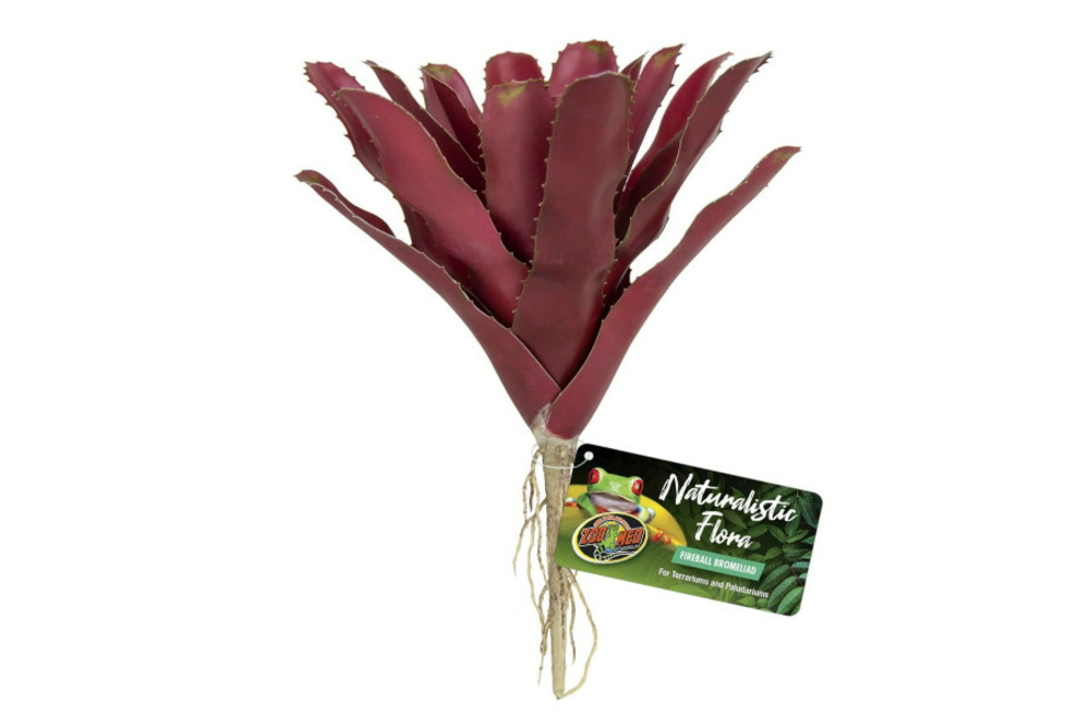 Naturalistic flora, fireball bromelia - décor pour terrarium